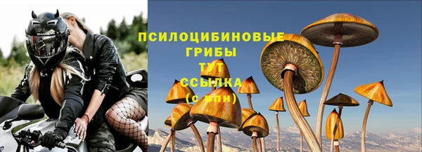 молекула духа Михайловка